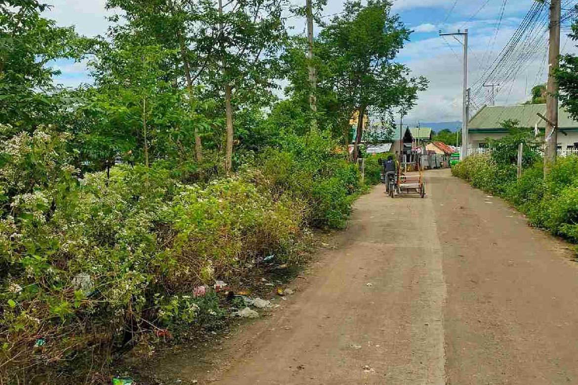 Land for Sale in Agus, Lapu-Lapu, Cebu – photo 5