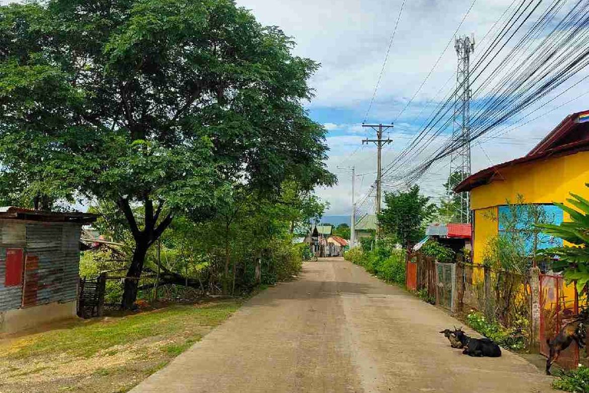 Land for Sale in Agus, Lapu-Lapu, Cebu – photo 6