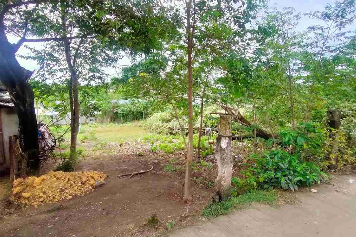 Land for Sale in Agus, Lapu-Lapu, Cebu – photo 8