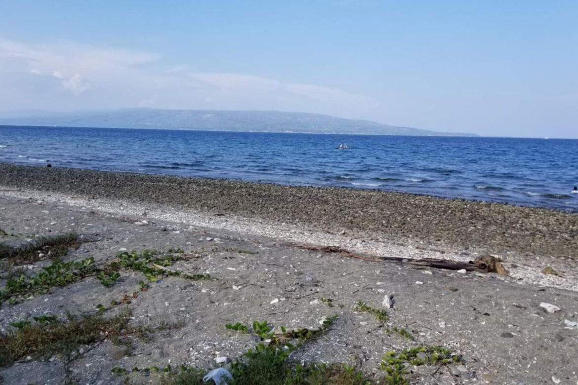 Land for Sale in Ajong, Sibulan, Negros Oriental – photo 3
