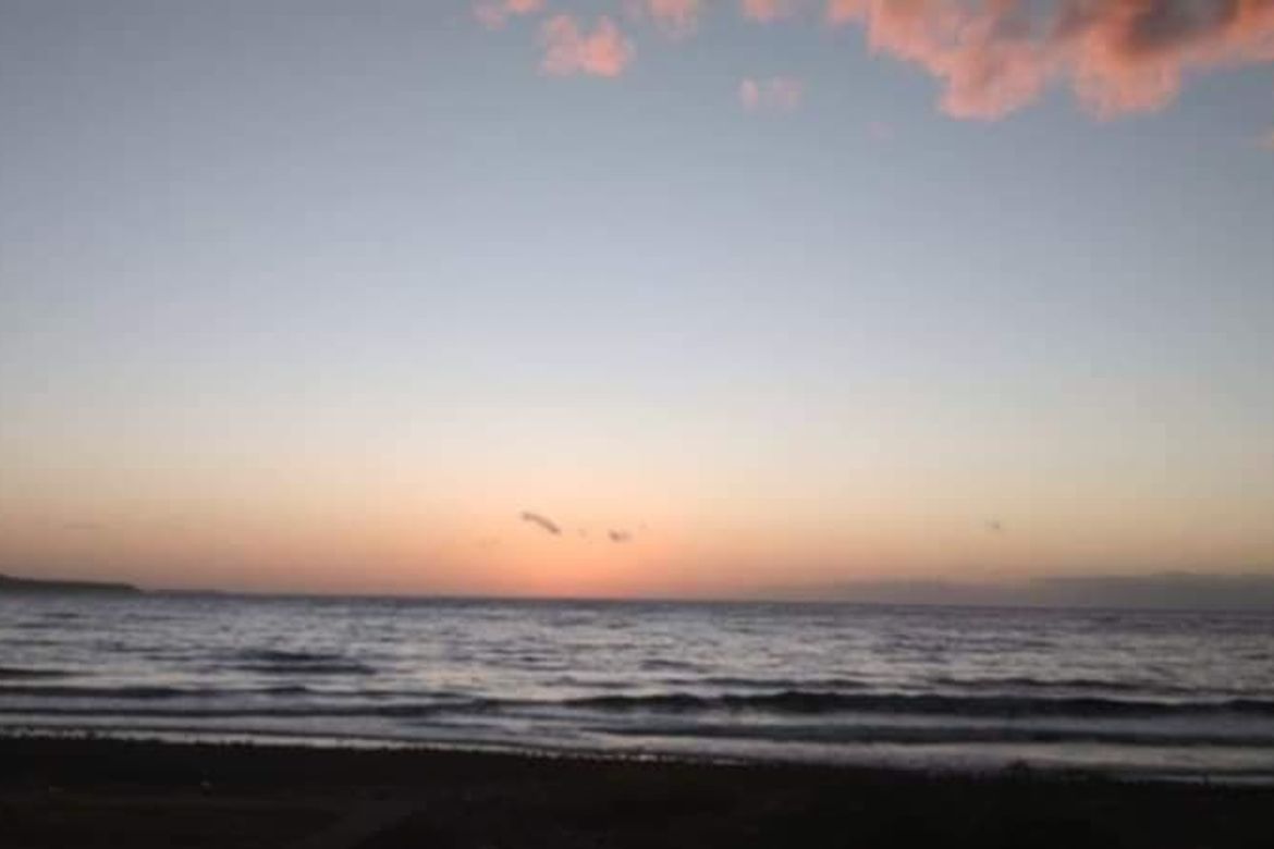 Land for Sale in Ajong, Sibulan, Negros Oriental – photo 4