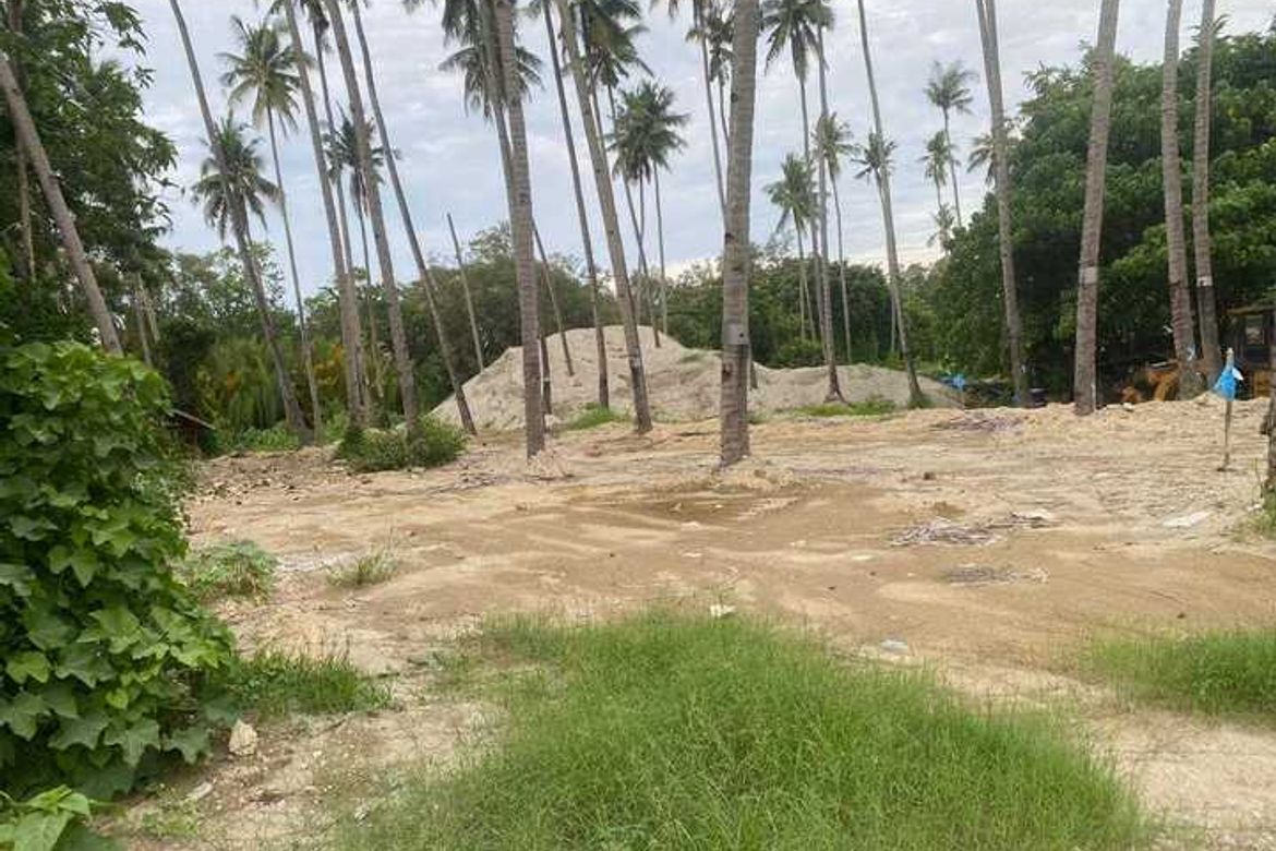 Land for Sale in Ajong, Sibulan, Negros Oriental – photo 5