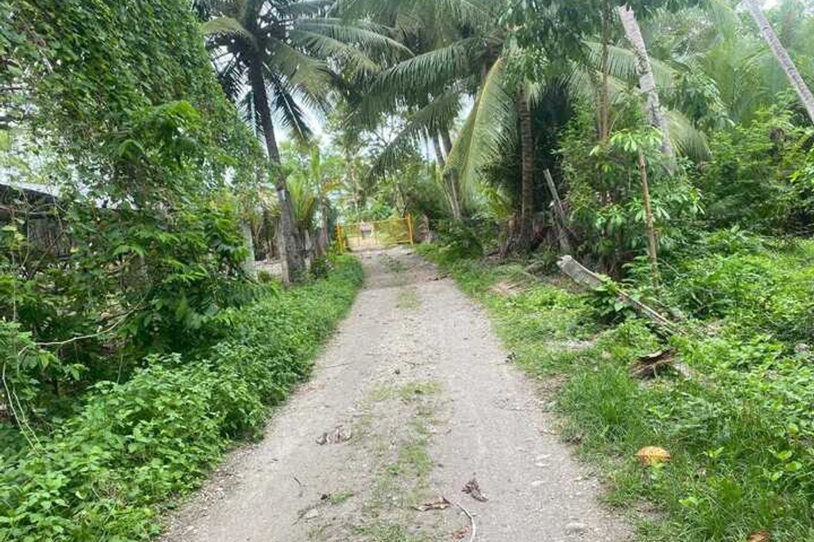 Land for Sale in Ajong, Sibulan, Negros Oriental – photo 6