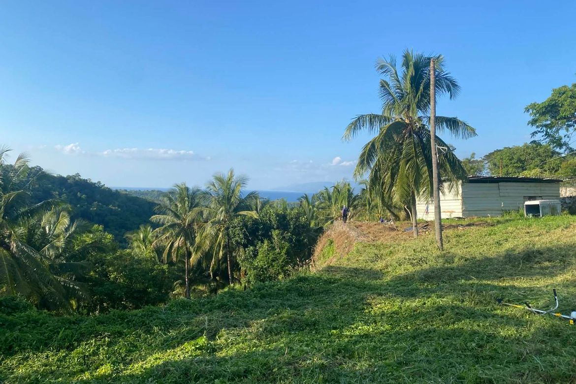 Land for Sale in Ajong, Sibulan, Negros Oriental