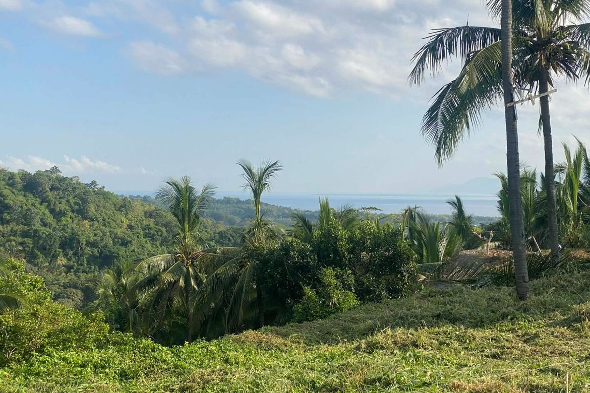 Land for Sale in Ajong, Sibulan, Negros Oriental – photo 3