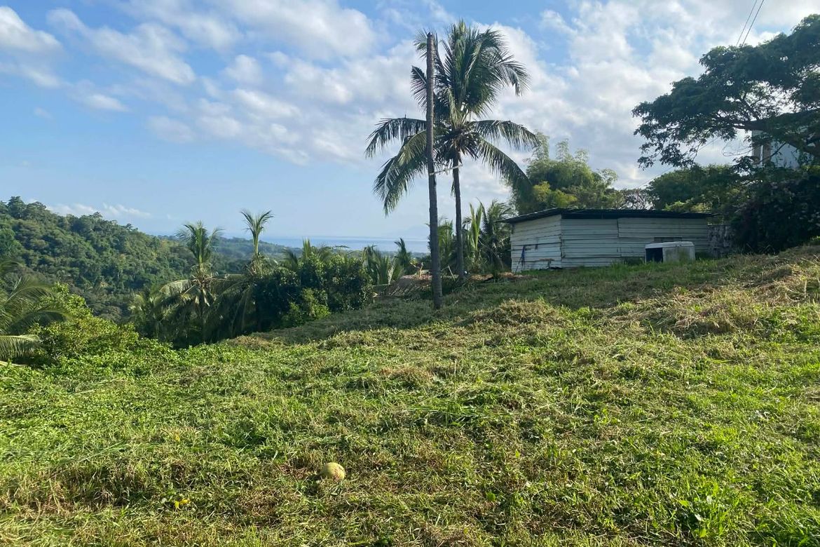 Land for Sale in Ajong, Sibulan, Negros Oriental – photo 4