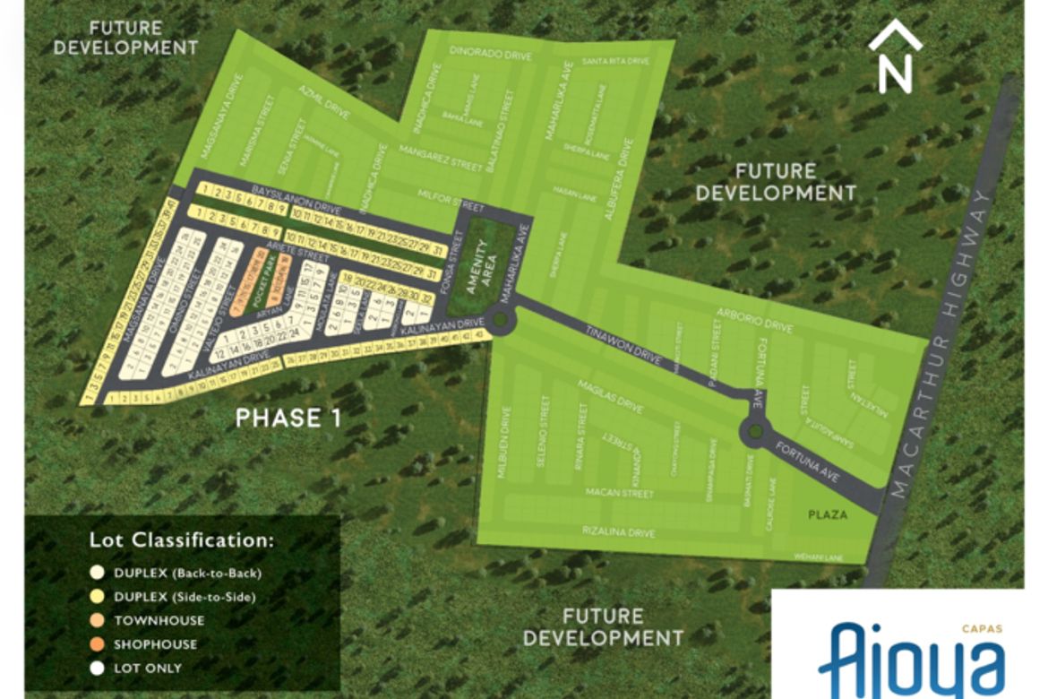 Land for Sale in Ajoya Capas, Talaga, Capas, Tarlac