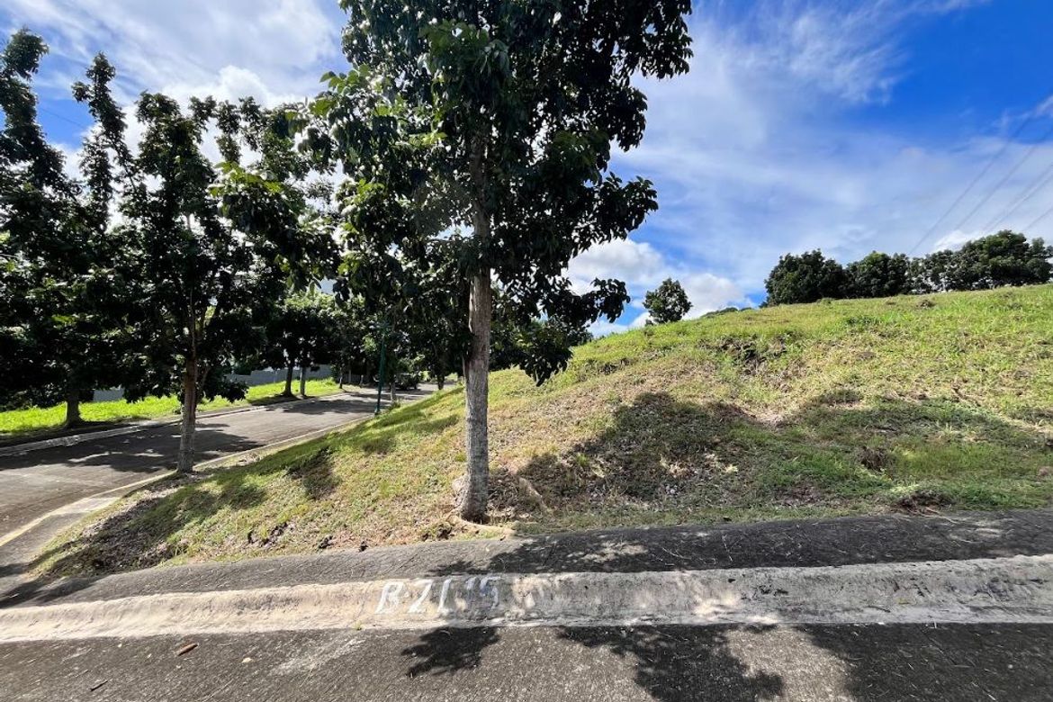 Land for Sale in Alabang, Muntinlupa, Metro Manila – photo 3