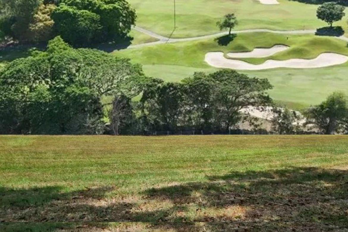 Land for Sale in Alabang, Muntinlupa, Metro Manila