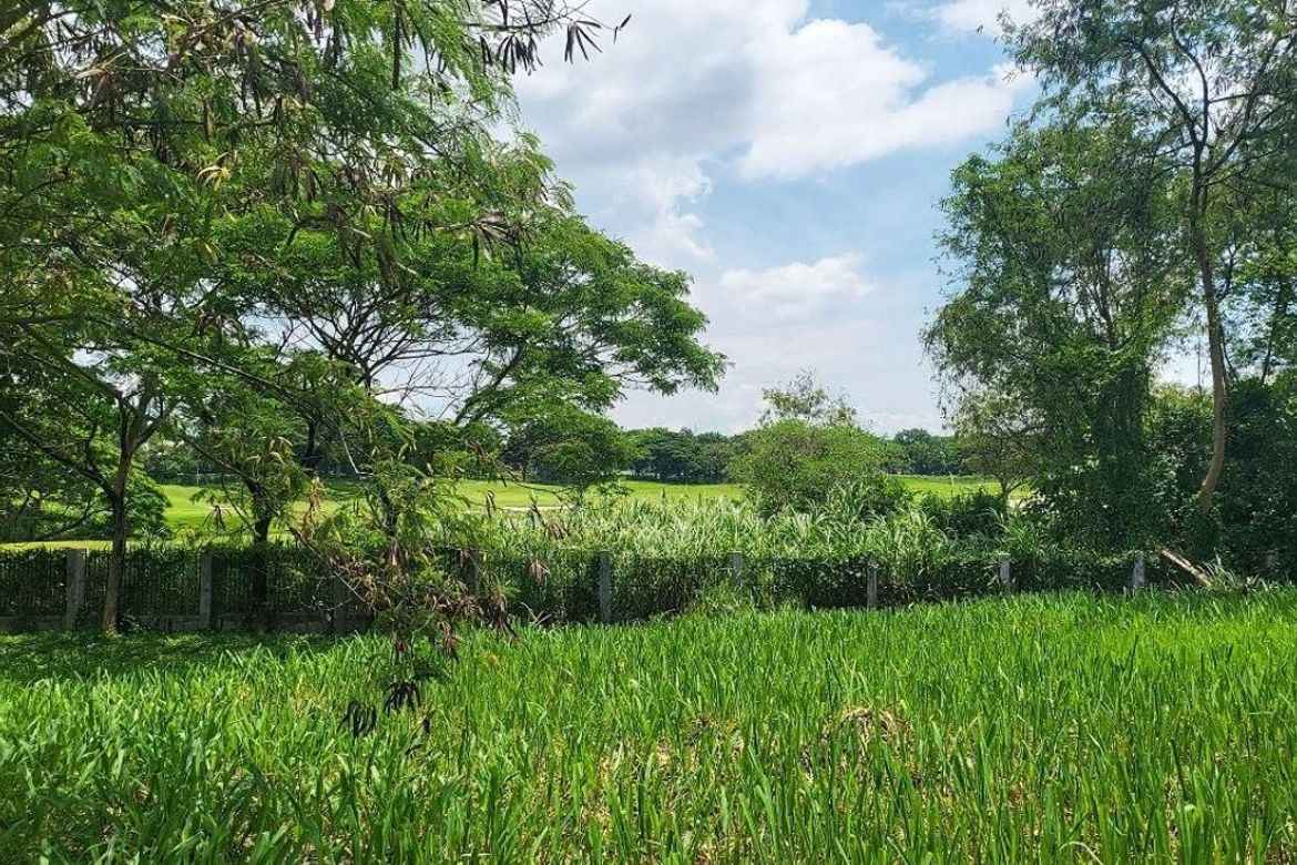 Land for Sale in Alabang, Muntinlupa, Metro Manila – photo 6