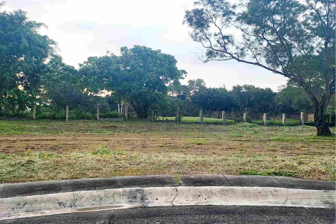 Land for Sale in Alabang, Muntinlupa, Metro Manila – photo 7