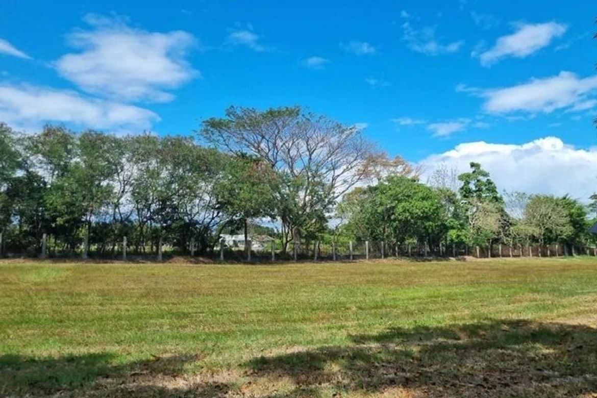 Land for Sale in Alabang, Muntinlupa, Metro Manila – photo 8