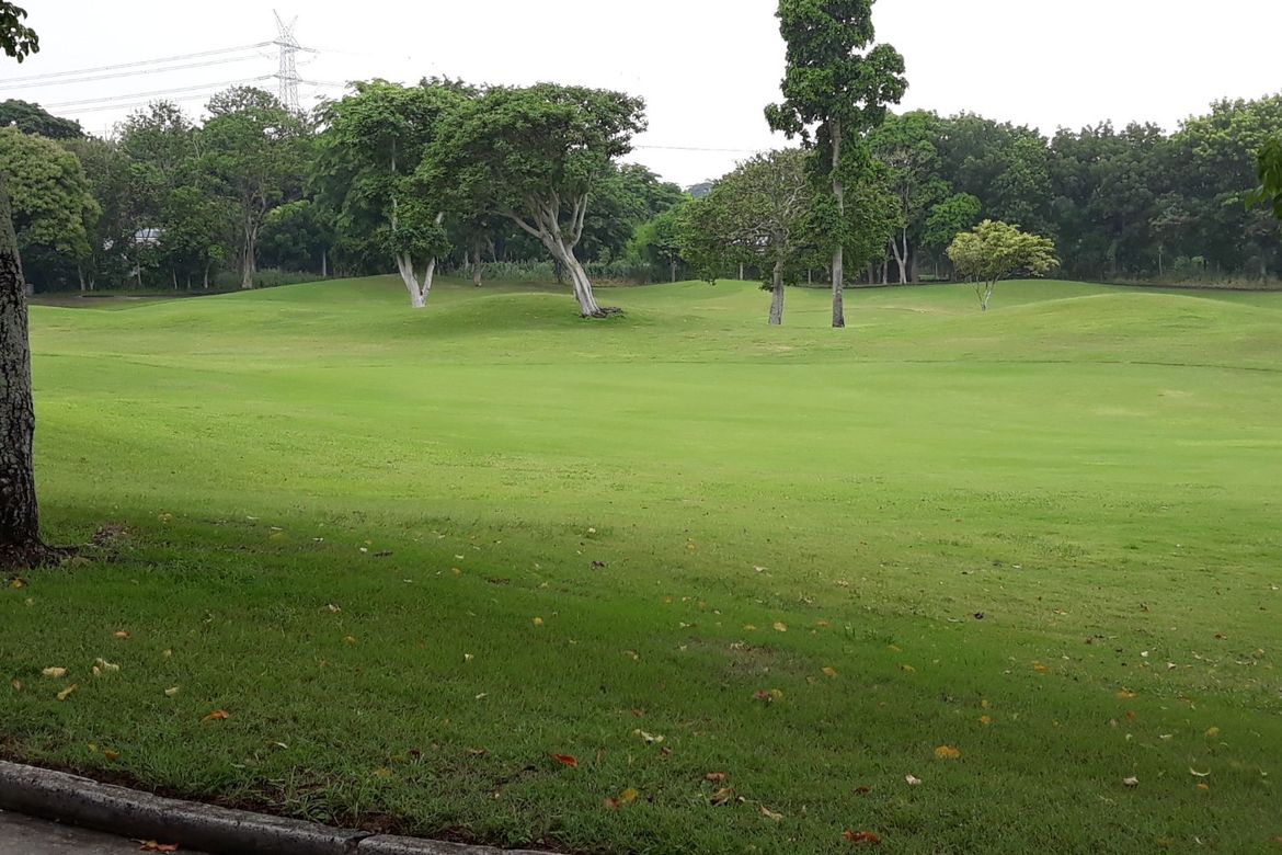 Land for Sale in Alabang, Muntinlupa, Metro Manila – photo 5