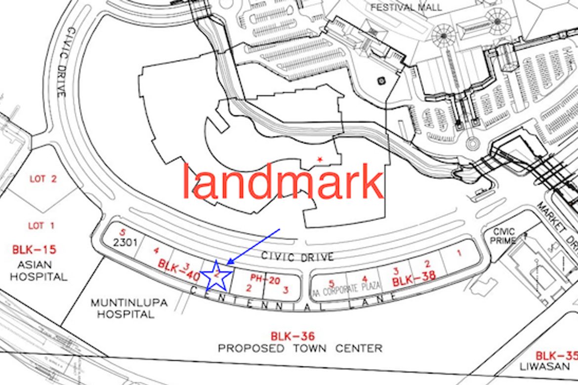 Land for Sale in Alabang, Muntinlupa, Metro Manila – photo 3