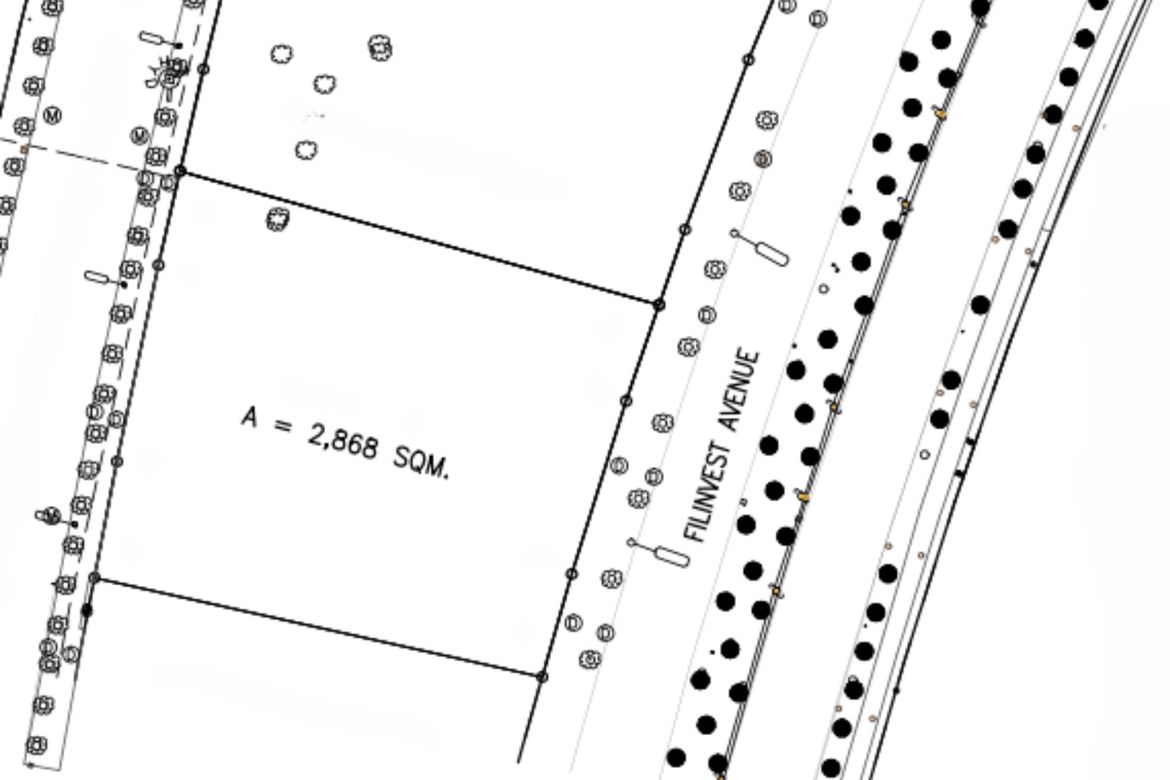 Land for Sale in Alabang, Muntinlupa, Metro Manila – photo 5