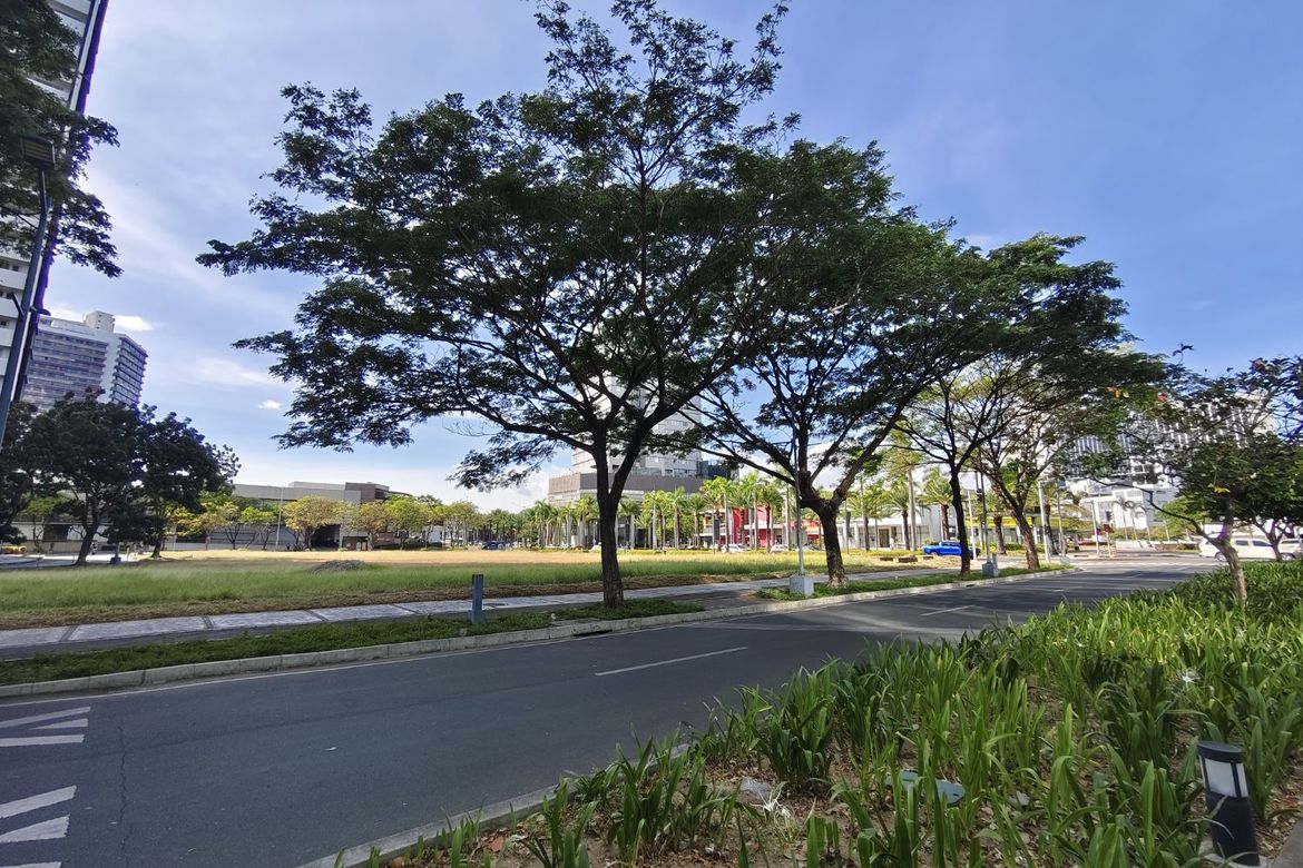 Land for Sale in Alabang, Muntinlupa, Metro Manila – photo 3