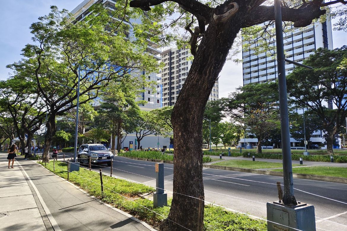 Land for Sale in Alabang, Muntinlupa, Metro Manila – photo 5