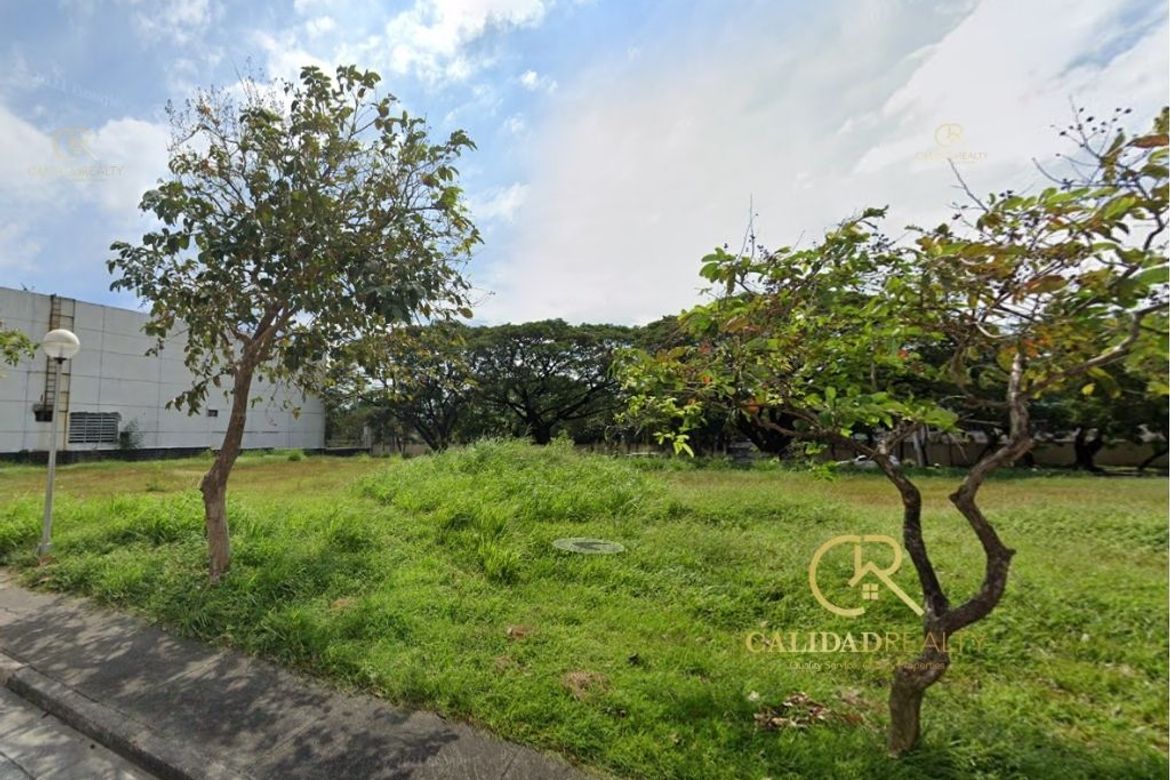 Land for Sale in Alabang, Muntinlupa, Metro Manila