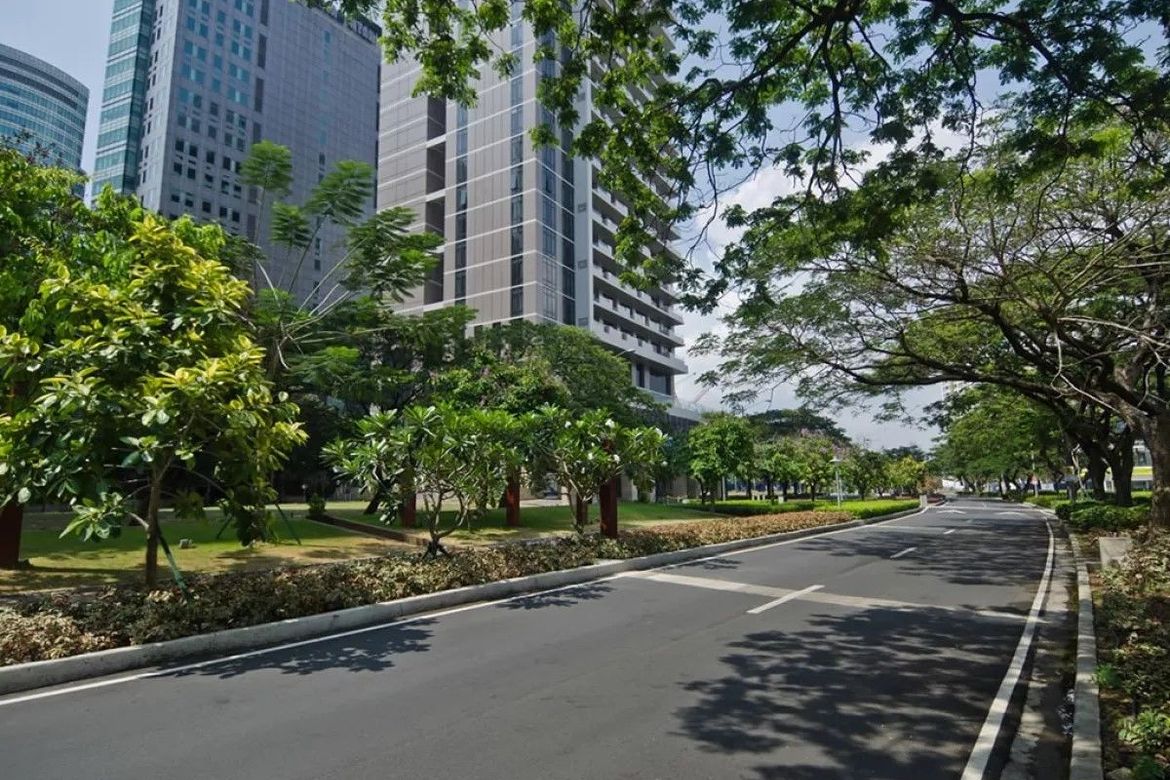 Land for Sale in Alabang, Muntinlupa, Metro Manila – photo 3