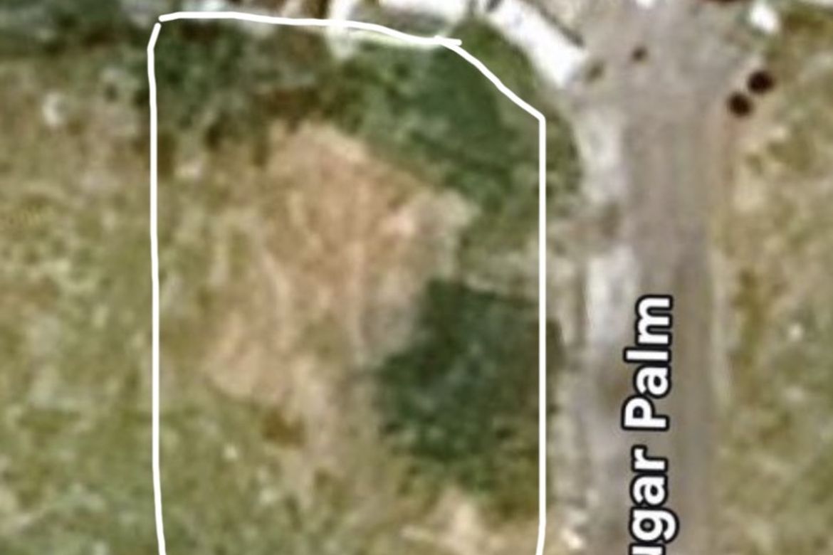 Land for Sale in Alabang, Muntinlupa, Metro Manila – photo 3