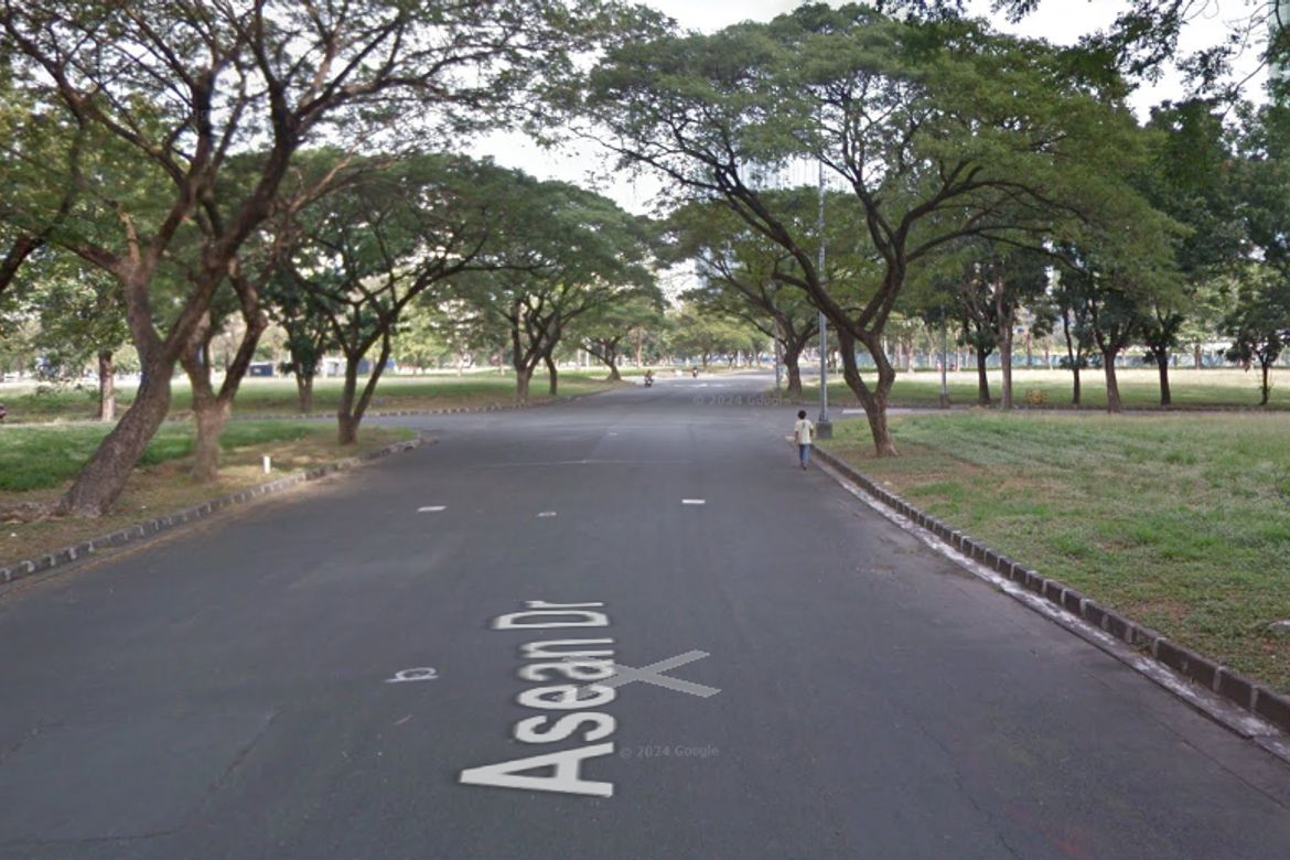 Land for Sale in Alabang, Muntinlupa, Metro Manila – photo 2