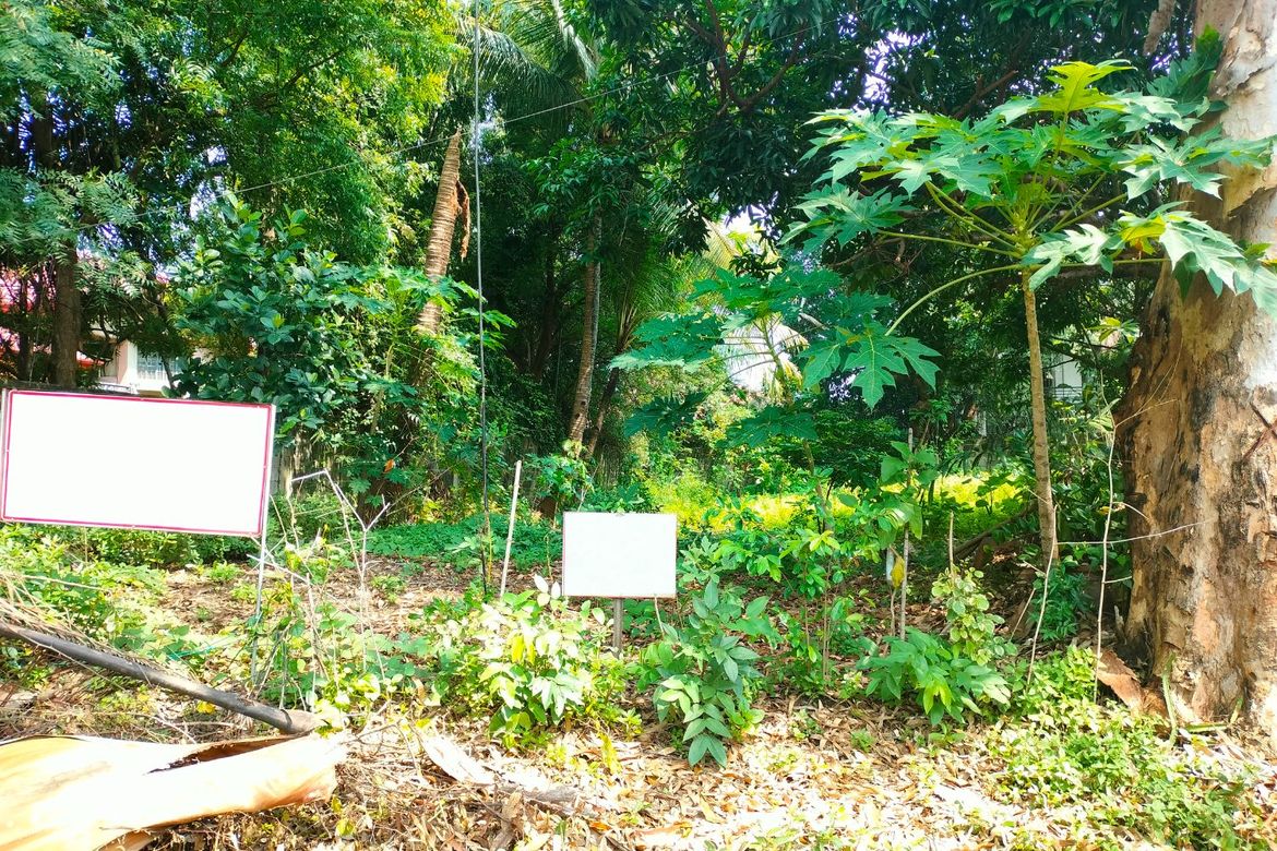 Land for Sale in Alabang, Muntinlupa, Metro Manila – photo 3