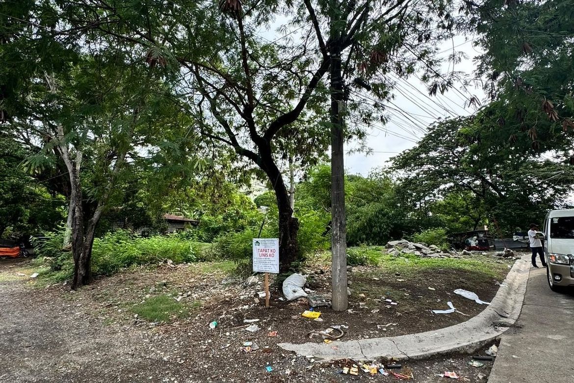 Land for Sale in Alabang, Muntinlupa, Metro Manila – photo 5
