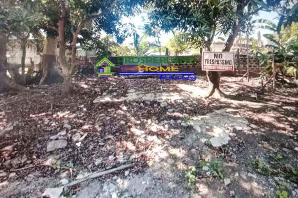 Land for Sale in Alabang, Muntinlupa, Metro Manila – photo 2