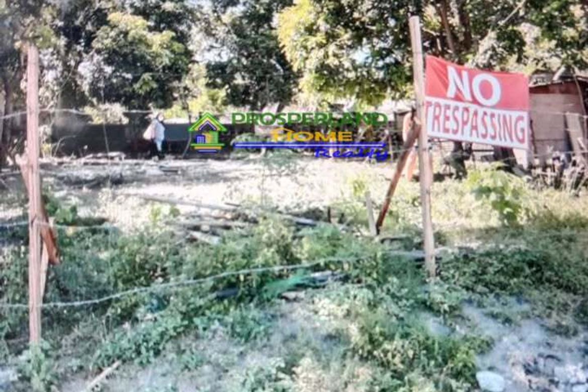 Land for Sale in Alabang, Muntinlupa, Metro Manila – photo 3