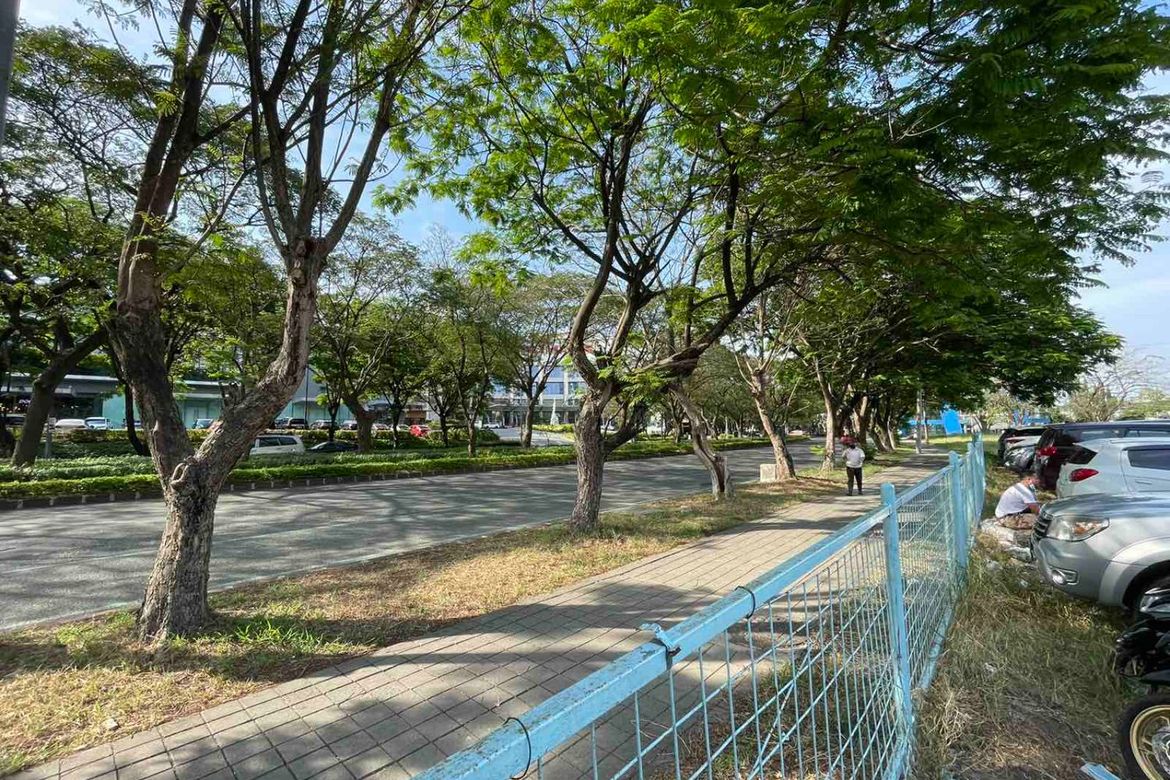 Land for Sale in Alabang, Muntinlupa, Metro Manila
