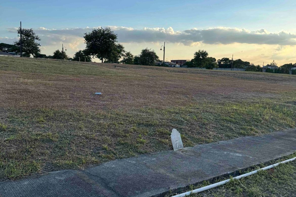 Land for Sale in Alabang West Village, Almanza Dos, Las Piñas, Metro Manila – photo 4