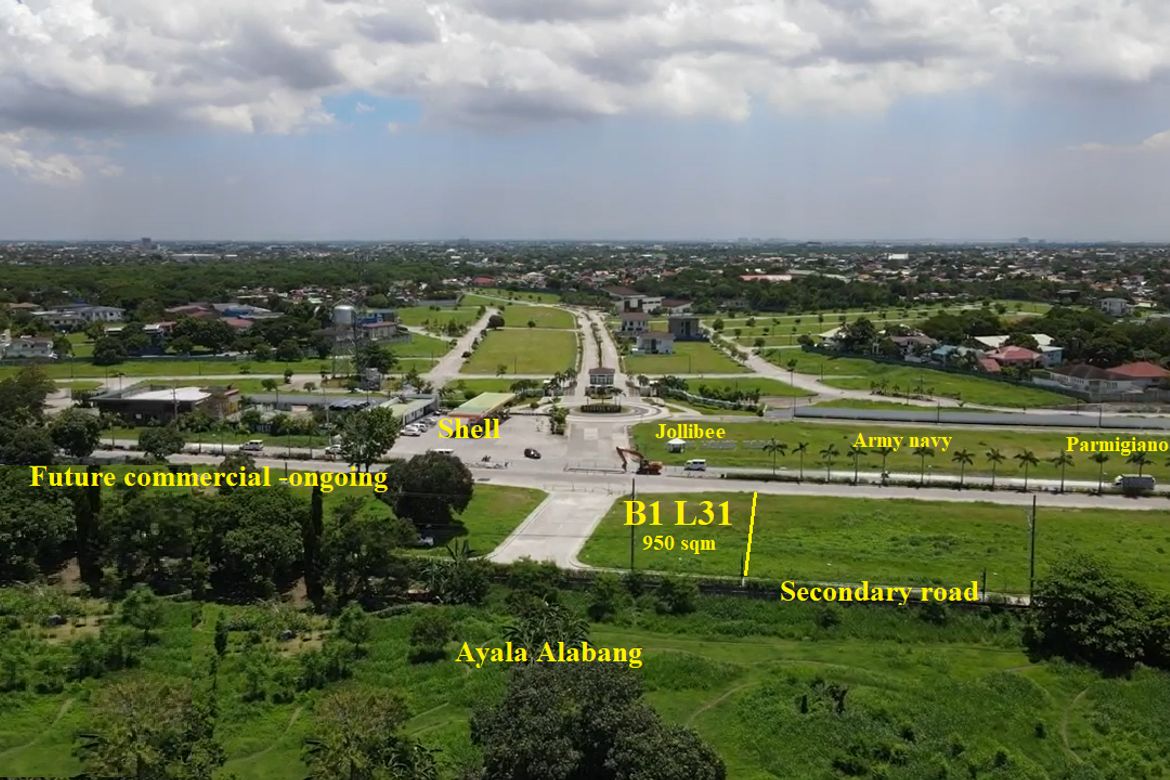 Land for Sale in Alabang West Village, Almanza Dos, Las Piñas, Metro Manila – photo 4