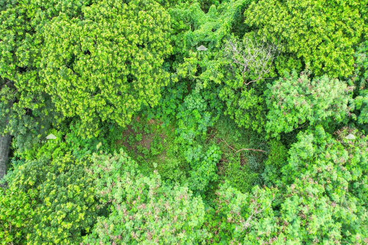Land for Sale in Alabang West Village, Almanza Dos, Las Piñas, Metro Manila – photo 8
