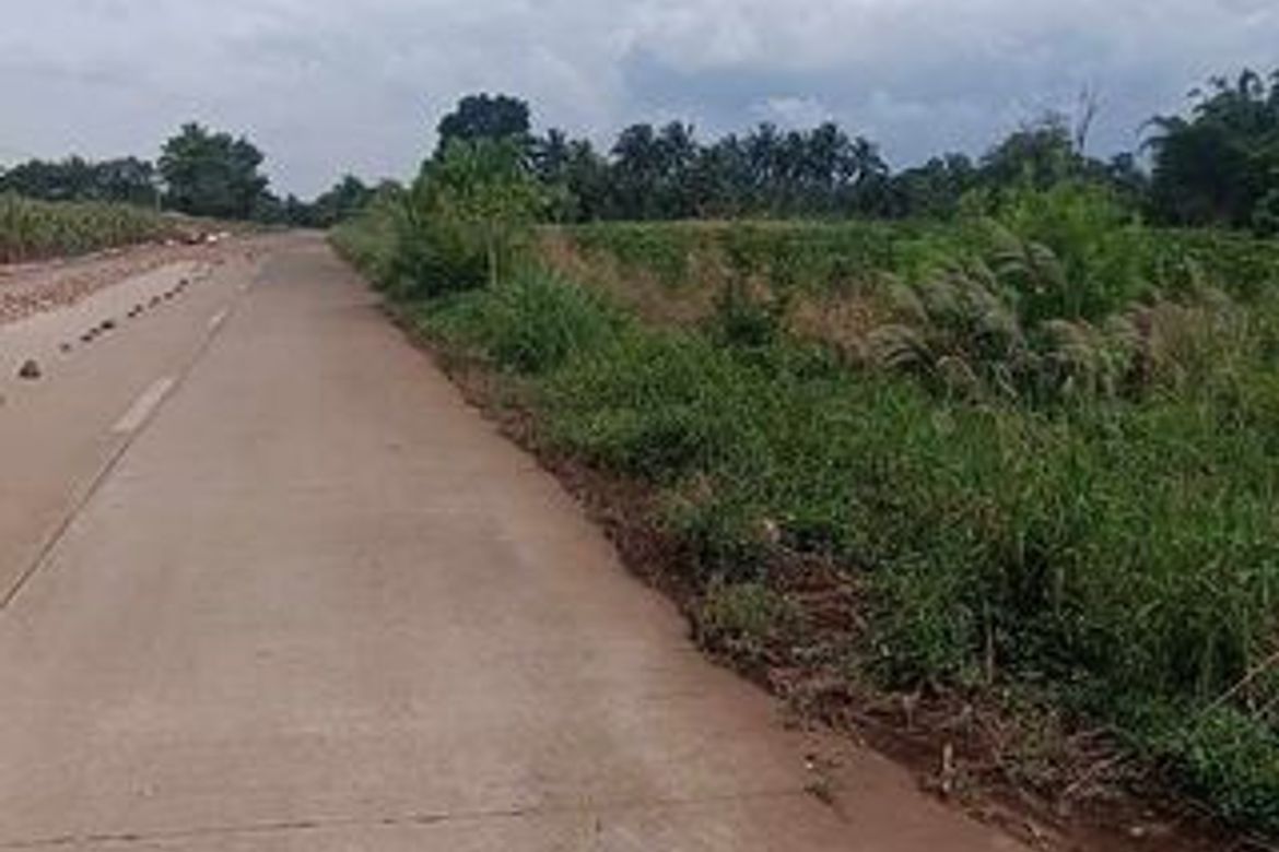 Land for Sale in Alae, Manolo Fortich, Bukidnon – photo 2