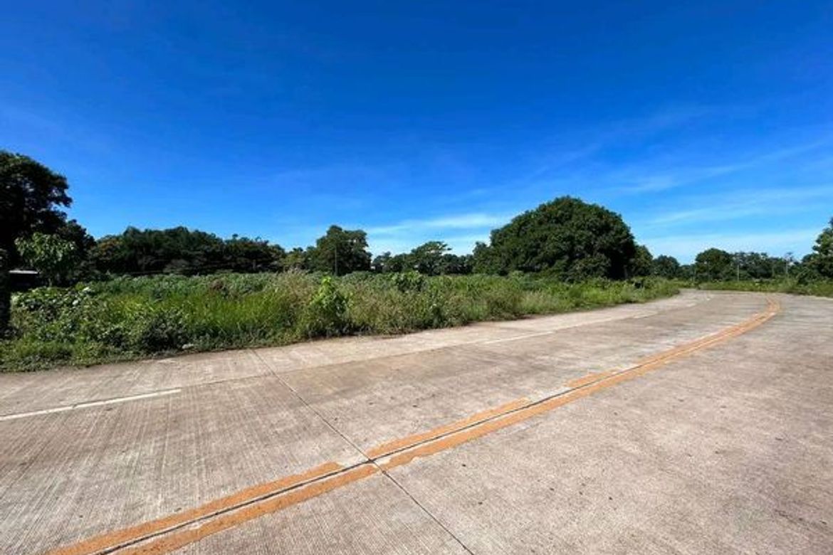 Land for Sale in Alae, Manolo Fortich, Bukidnon – photo 3