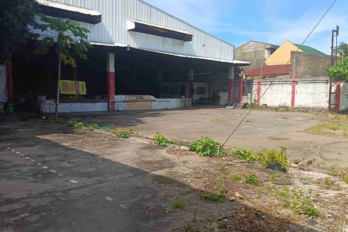 Land for Sale in Alang-Alang, Mandaue, Cebu – photo 2
