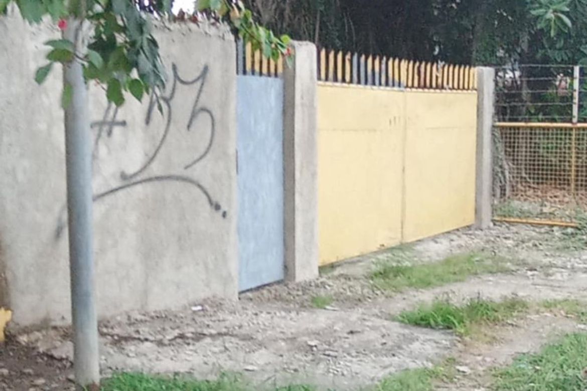 Land for Sale in Alang-Alang, Mandaue, Cebu – photo 3
