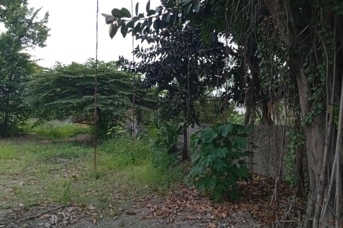 Land for Sale in Alang-Alang, Mandaue, Cebu – photo 6