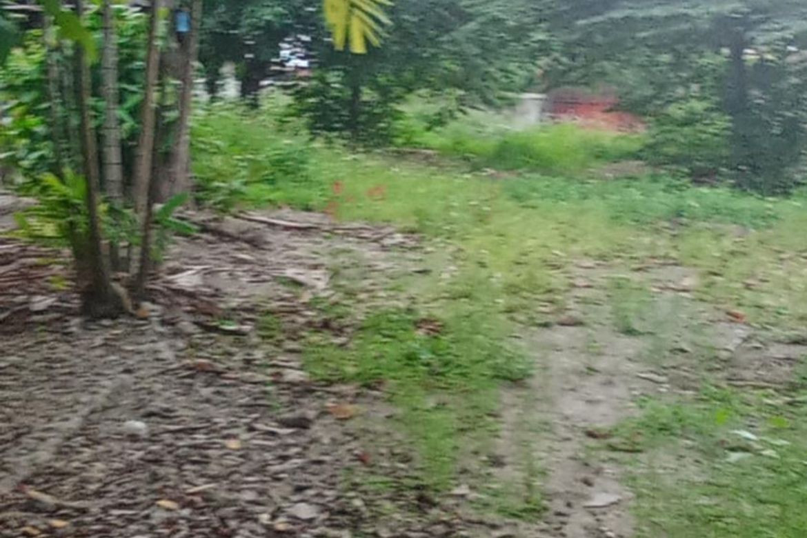 Land for Sale in Alang-Alang, Mandaue, Cebu – photo 8