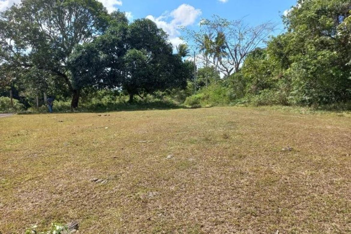 Land for Sale in Alangilan, Batangas City, Batangas