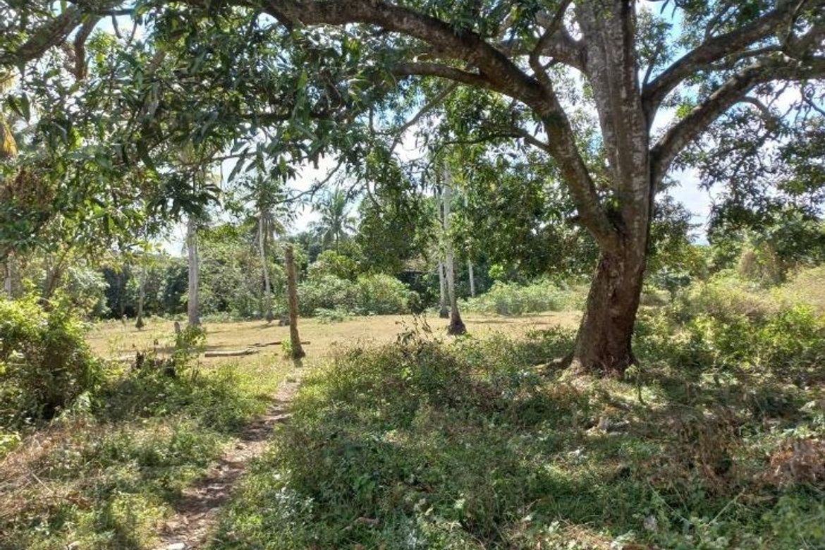 Land for Sale in Alangilan, Batangas City, Batangas – photo 3