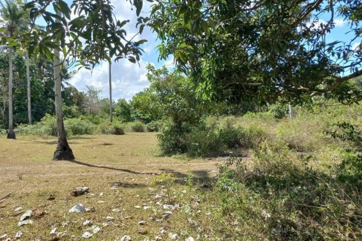 Land for Sale in Alangilan, Batangas City, Batangas – photo 6