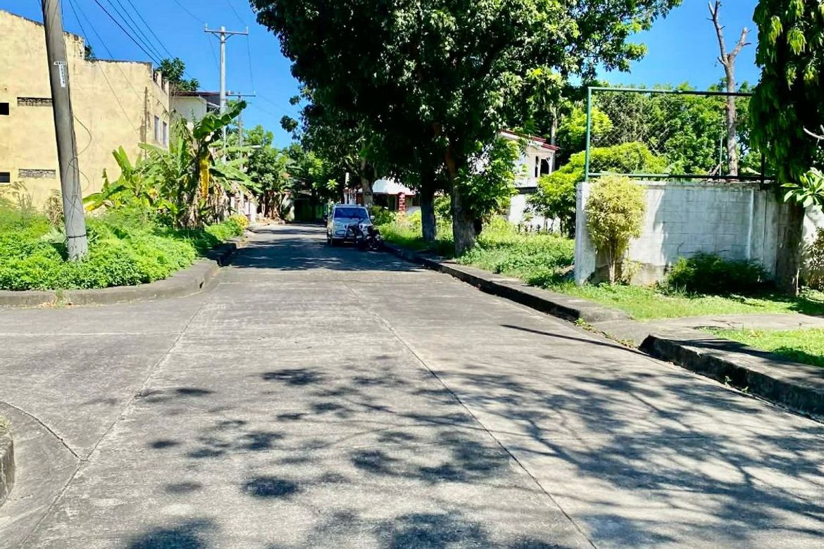 Land for Sale in Alegria, Cordoba, Cebu – photo 2
