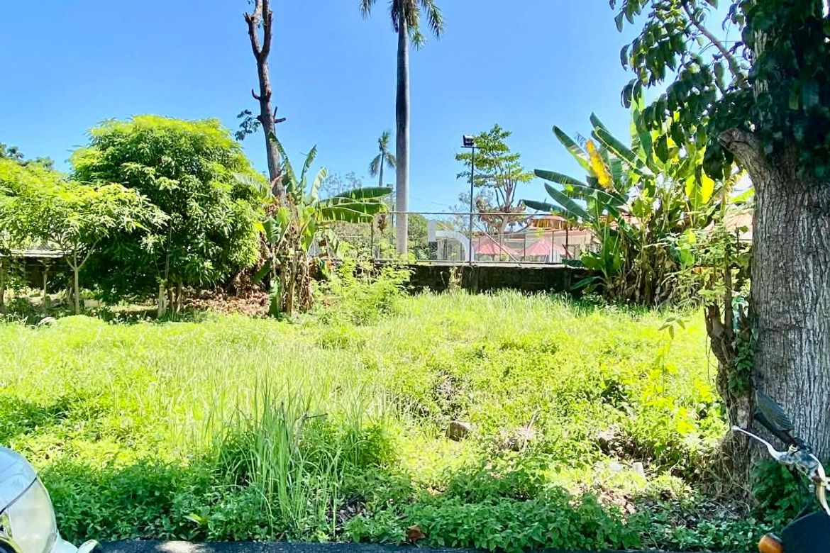 Land for Sale in Alegria, Cordoba, Cebu – photo 3