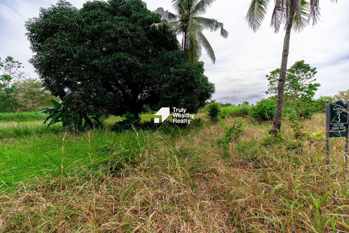 Land for Sale in Alegria Hills, Agusan, Cagayan de Oro, Misamis Oriental – photo 3