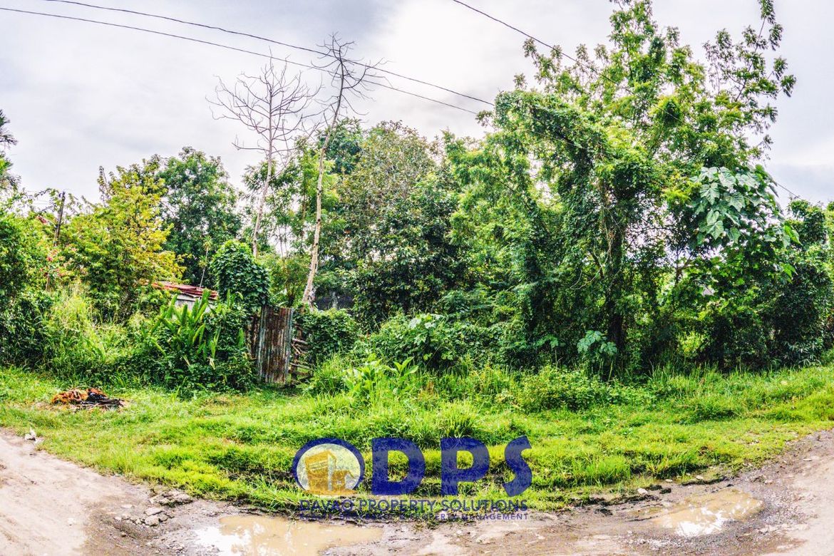 Land for Sale in Alfonso Angliongto S, Davao City, Davao del Sur – photo 3