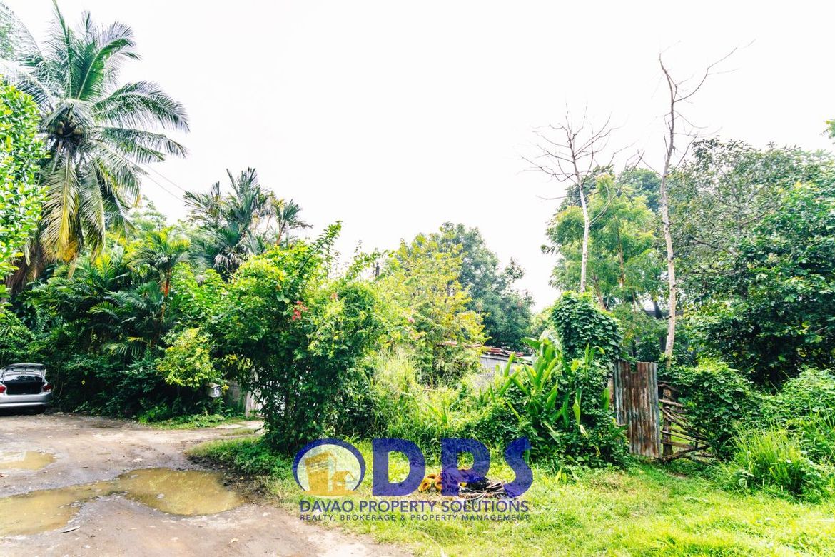 Land for Sale in Alfonso Angliongto S, Davao City, Davao del Sur – photo 7