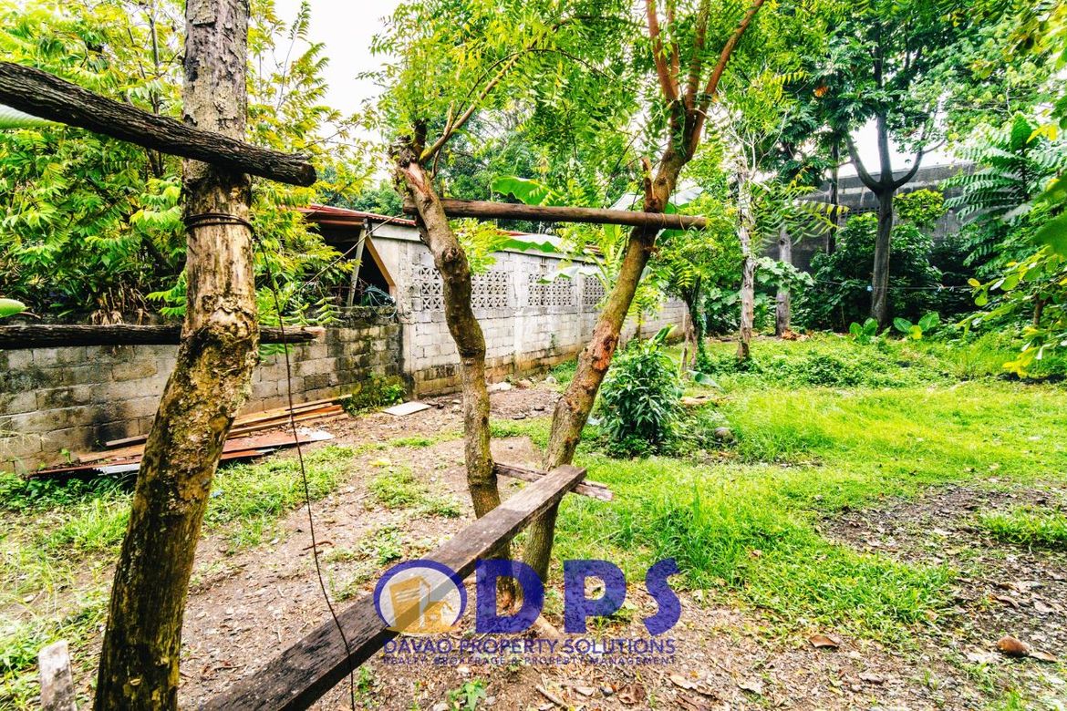 Land for Sale in Alfonso Angliongto S, Davao City, Davao del Sur – photo 8