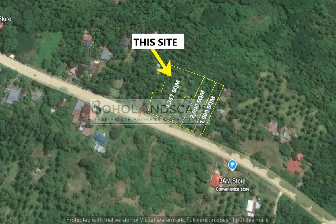 Land for Sale in Aliguay, Maribojoc, Bohol – photo 2