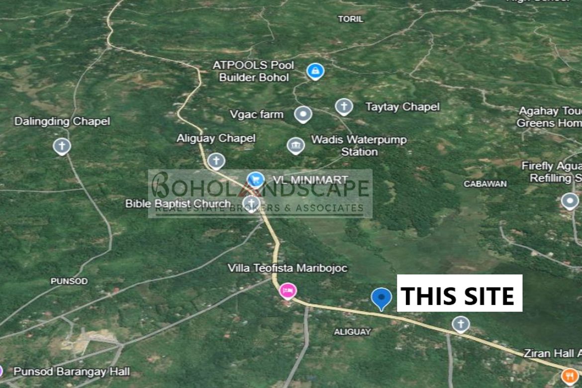 Land for Sale in Aliguay, Maribojoc, Bohol – photo 6